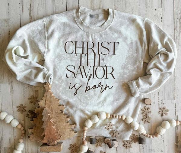 Christ the savior